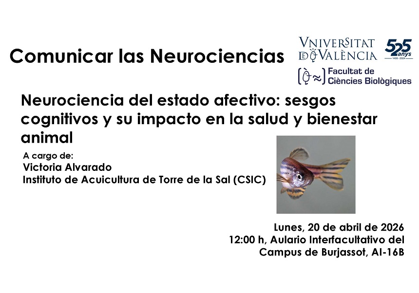 Conferencia: 